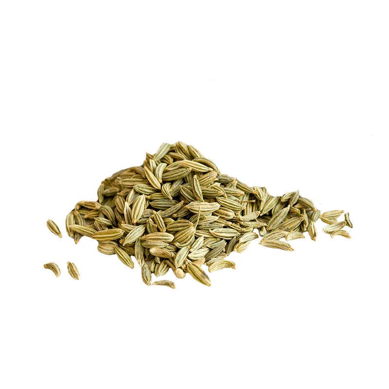 Graines de fenouil